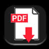 Descargar PDF